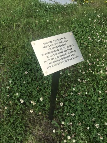 realizace - Nerezová pamětní deska Czech linden tree